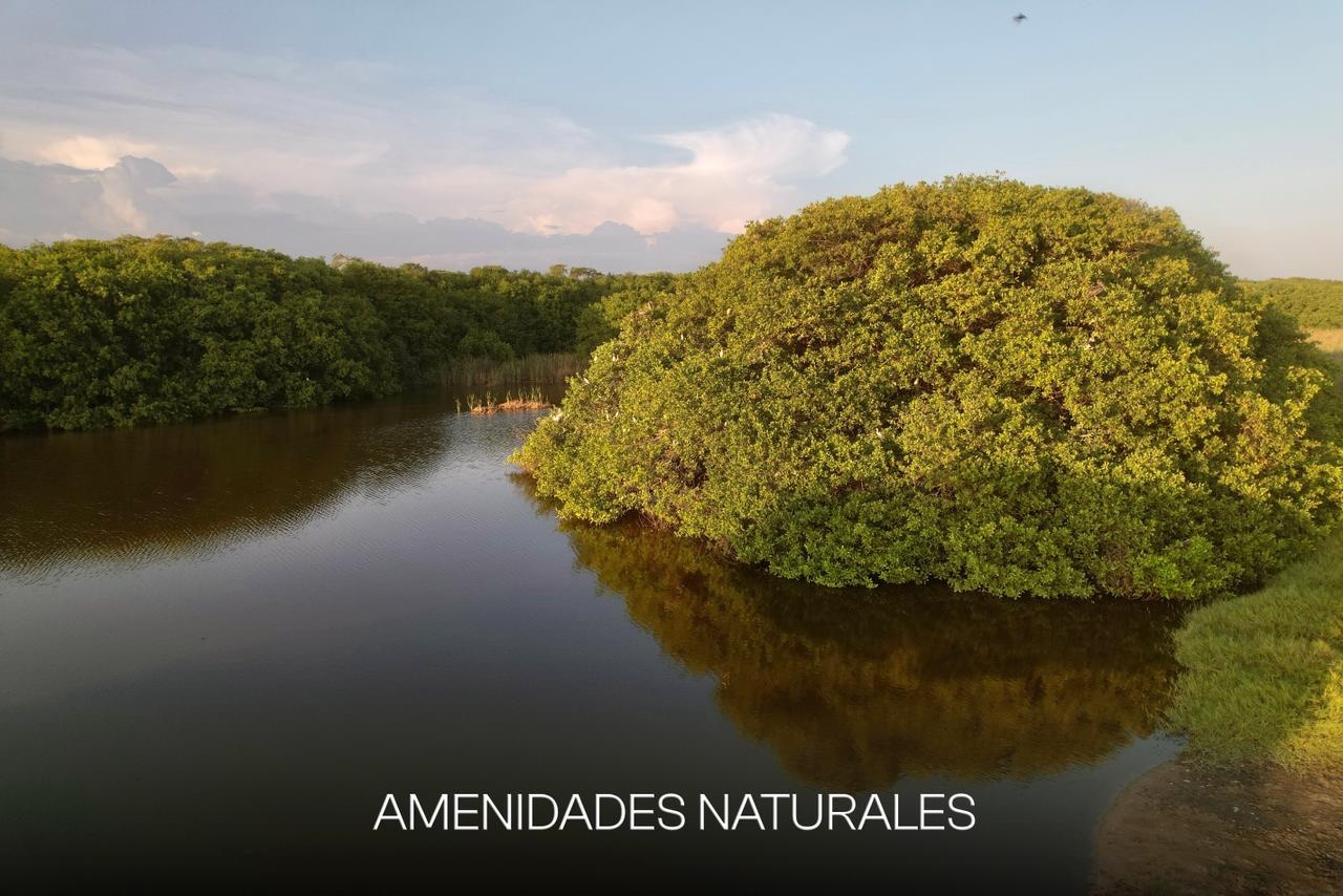 Amenidades naturales Vistas Majagua
